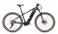 CTM MTB E-BIKE 29" 2022 | Tutikerekpar