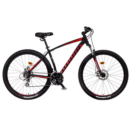 MAYO XC 29" BASIC D 