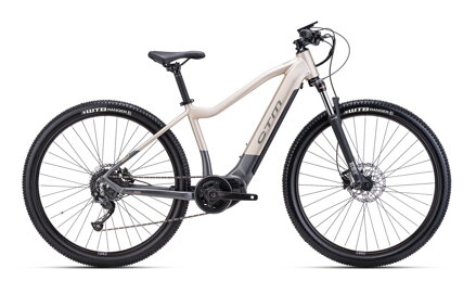 CTM RUBY 29" 2024