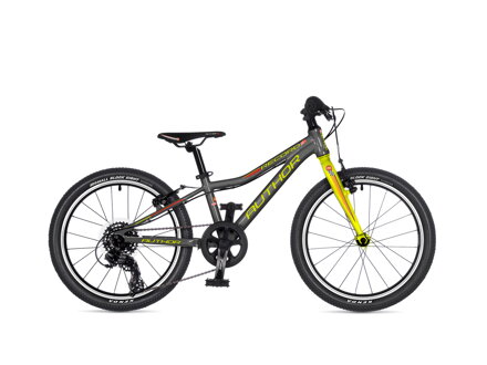 AUTHOR RECORD 20 2025