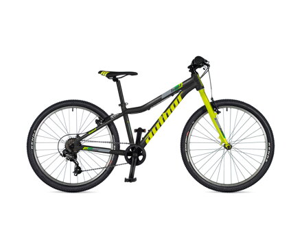 AUTHOR LIMIT 24 2025