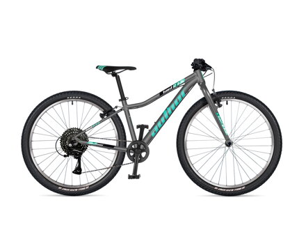 AUTHOR LIMIT 27,5 2025