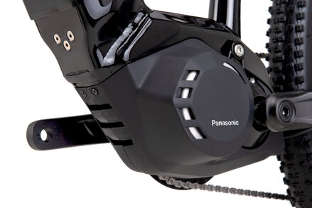 CTM ROXXY GX 2025