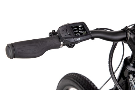 CTM ROXXY GX PRO 2025