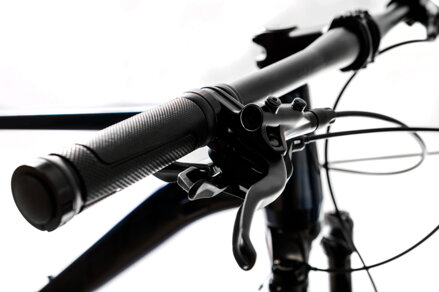 STEDO RAZON 29″