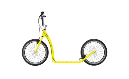 KOSTKA TWENTY MAX (G6)