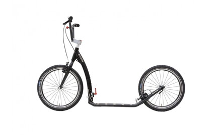 KOSTKA TWENTY MAX FOLD (G6) 