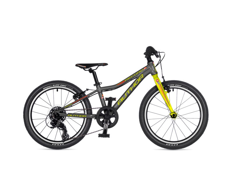 AUTHOR RECORD 20 2025