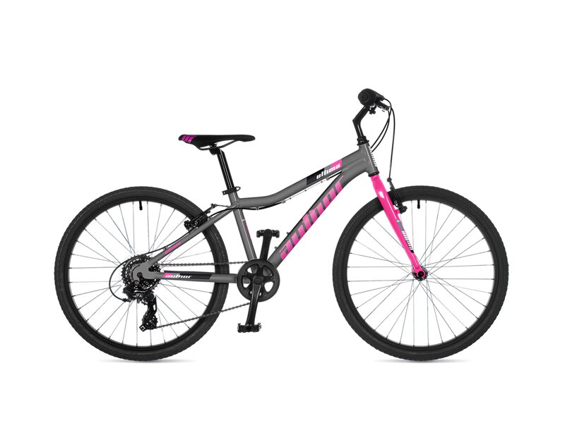 AUTHOR ULTIMA 24 2025 