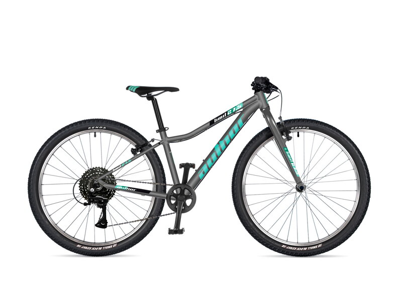 AUTHOR LIMIT 27,5 2025