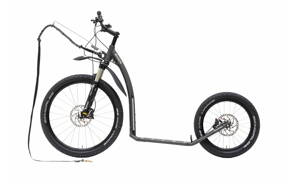 KOSTKA MUSHING PRO (G6)