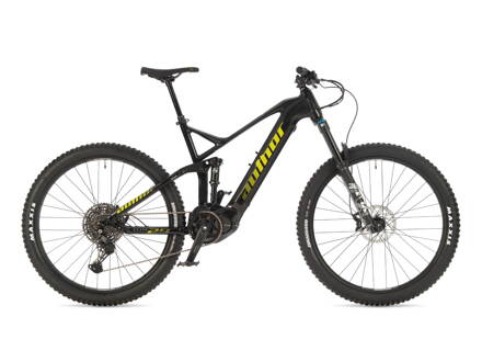 AUTHOR ELITE 29 2025 