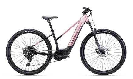CTM ROXXY GX PRO 2025